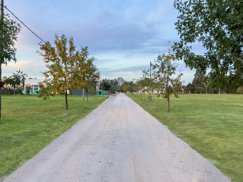 Lote En Venta De 823m2 En El Barrio La Zulema Cañuelas