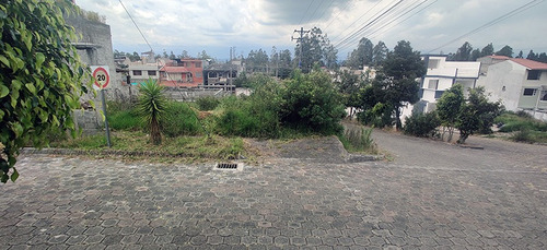 Imagen 8 de 13 de Terreno Urbanizacion El Manantial