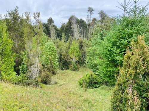 Sitios En Venta Para Inversión En Puerto Varas