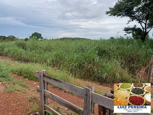 Imagem 10 de 15 de Fazenda À Venda Em Monte Santo - To - De 83 Alqueirões (dupla Aptidão) - 1623