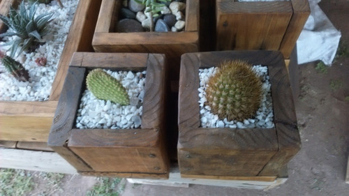 Maceteros Rústicos Madera Con O Sin Planta Especial Cactus