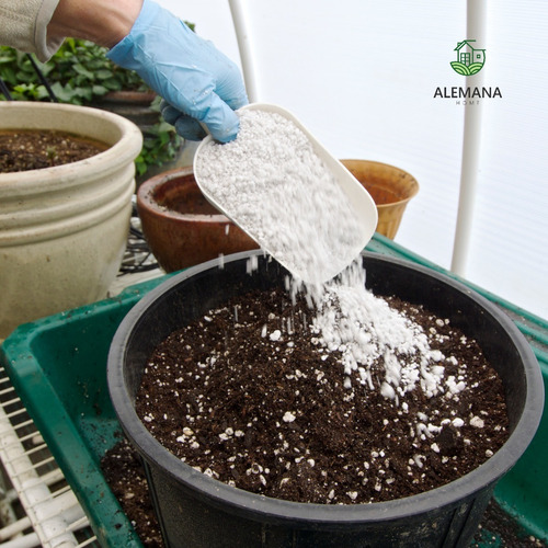 Imagen 5 de 9 de Perlita Eco Jardin Bolsa X 3 Dm3 Sustrato Abono Cultivo