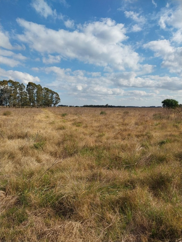 Campo Multi- Propósito Sobre Ruta 11!