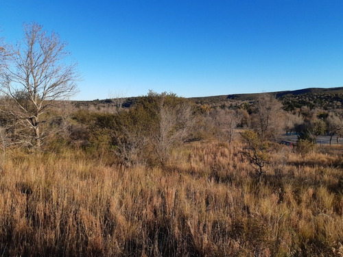 Imagen 4 de 8 de Exclusivo Campo De Montaña 50 Ha / Quebrada De Luna