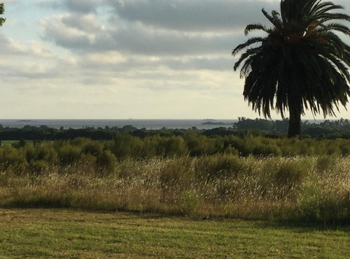 Imagen 16 de 30 de Chacra De 8,4 Has Y 2 Casas - Colonia Del Sacramento, Se Aceptan Permutas
