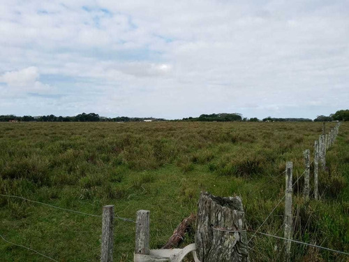 Imagen 3 de 13 de Paraje Pavon Fraccion De 11500 M2