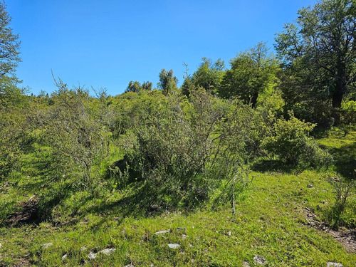 Hermoso Terreno En Seccion Lago Lezana -cholila-chubut