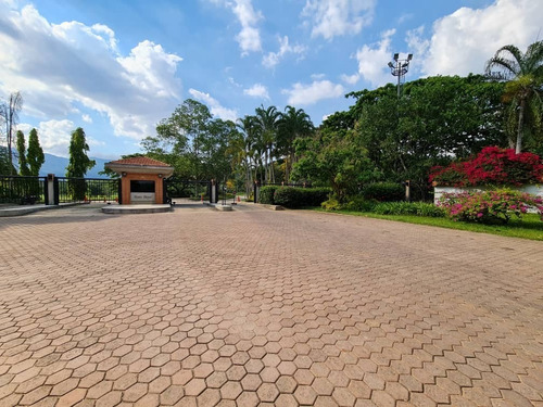 Imagen 4 de 9 de Johanna Castillo Vende 04145951217 Terreno En Hato Royal