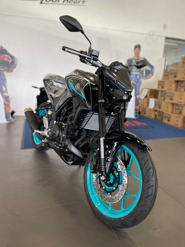 Yamaha Mt 03 Abs 2025 Cinza - 0km Vend. Bruno