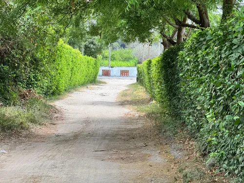 Lote De 5000m2 Santo Tomas (cm&d142).