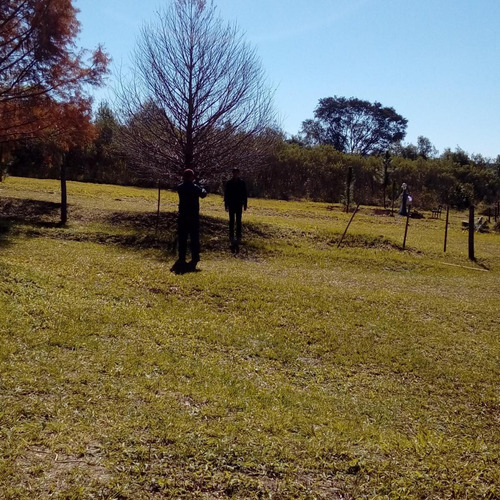 Casa En Venta - 2 Dormitorios 1 Baño - Cocheras - 10.000mts2 - Misiones