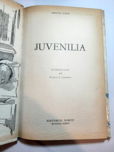 Antiguo Libro Juvenilia Cané Norte 1966 Ro 1482