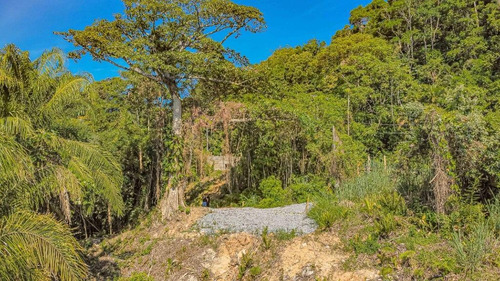 Imagem 5 de 30 de Terreno À Venda, 2517 M² - Taguaiba - Guarujá/sp - Te0768