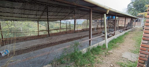 Ninoska Bautista Vende Granja Ubicada En El Valle