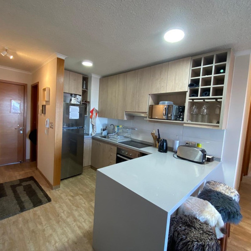 Grato Departamento Valle Nevado Capacidad 6 A 7 Personas