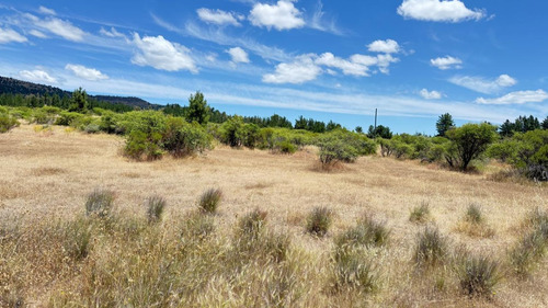 Vende Lote De 10.000 M² En Playa De Pelluhue