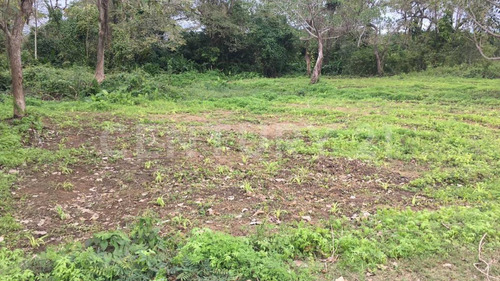 Se Vende Terrenos En Barrillas Coatzacoacos, Ver.