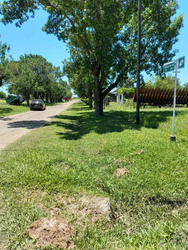 Imagen 5 de 7 de Terreno En Venta En Los Laureles