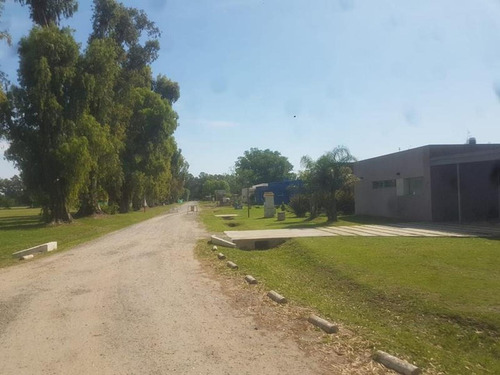 Imagen 4 de 6 de Lote Interno En Campo Daromy San Vicente