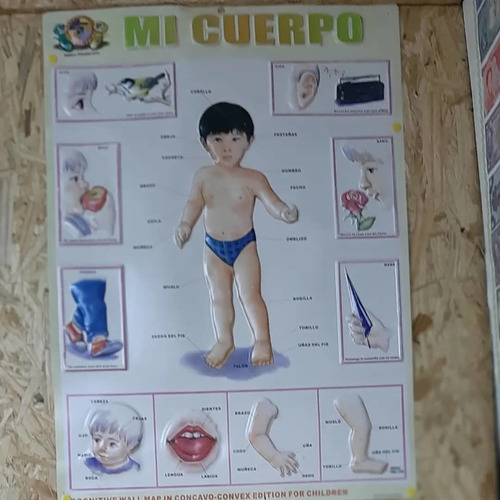 Imagen 8 de 10 de Tareas Dirigidas Y Apoyo Pedagógico.