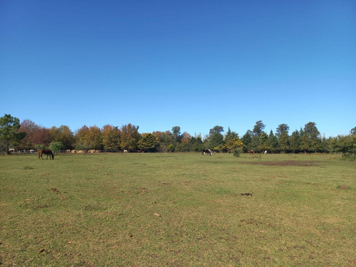 Imagen 3 de 13 de Lote En Venta En Cardales