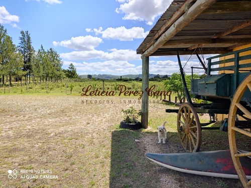 Venta De Chacra Sobre Ruta 9 A 30 Km De Jose Ignacio- Ref: 17546