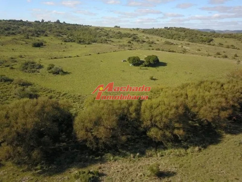 Imagen 12 de 15 de Venta De Chacra De 5 Hectareas En Paraje Las Cañas