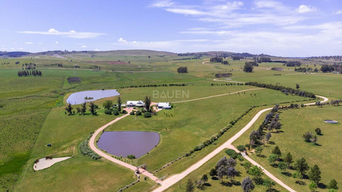 Venta De Chacra De 9 Hectareas En Laguna Del Sauce