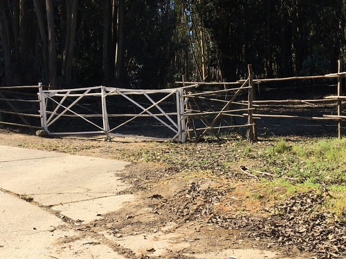 Imagen 4 de 7 de Terreno Mixto, 75 Mts. Orilla Via La Pólvora Acceso Propio.