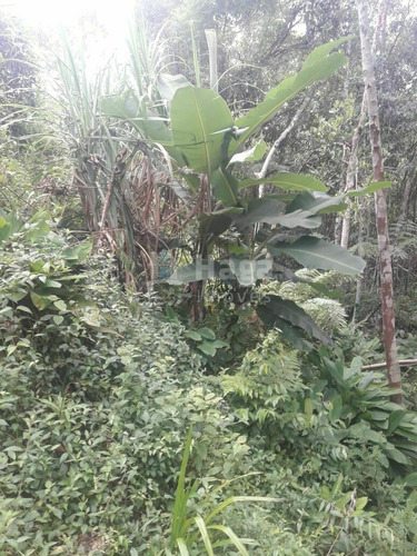 Imagem 7 de 20 de Chácara À Venda No Bairro Brilhante Ii - Itajaí/sc - 2156c