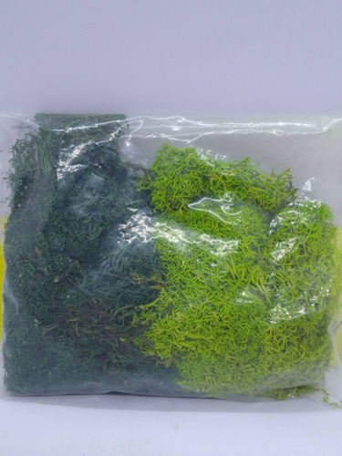 Imagen 5 de 6 de Nico Liquen Natural 2 Tonos 8610 Noch 35 Grs H0 (edh 75a)