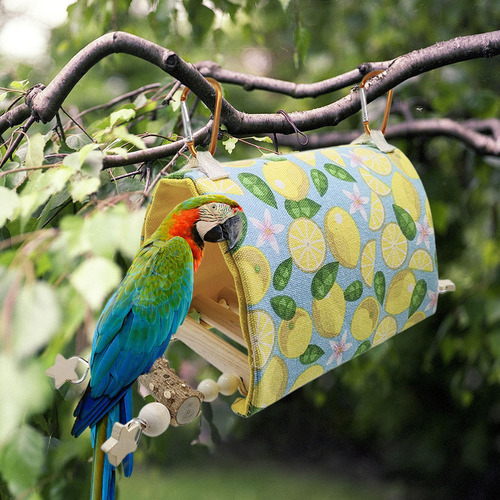 Nido De Pájaros Casa Loro Hamaca Cabaña Cacatúa Agapornis