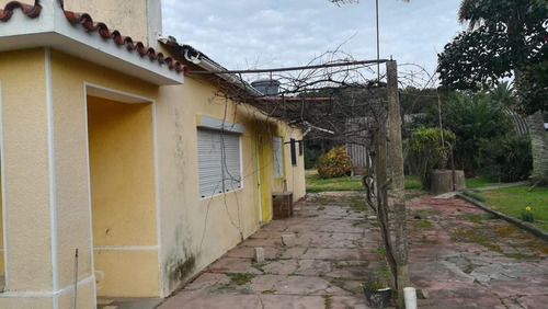 Chacra. San Pedro. Colonia.