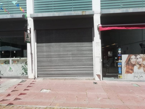 Alquiler Local Ciudad Vieja