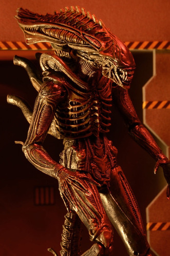 Alien Série 11 - Defiance - Alien Xenomorph Warrior