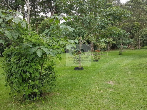 Imagem 6 de 20 de Terreno A Venda No Bairro Ingleses Do Rio Vermelho Em - 4332-1