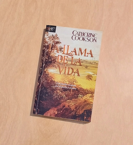 Cuando Late Un Corazon - Danielle Steel (Usado)