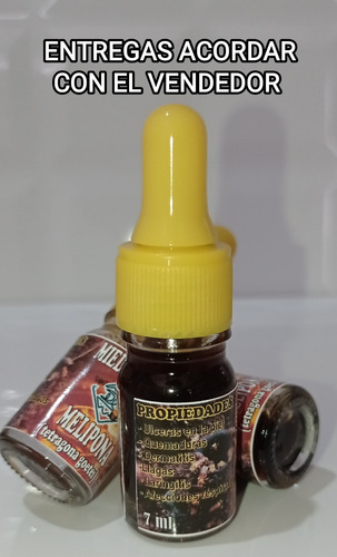 Gotero De Miel De Abeja Tetragona Goettei