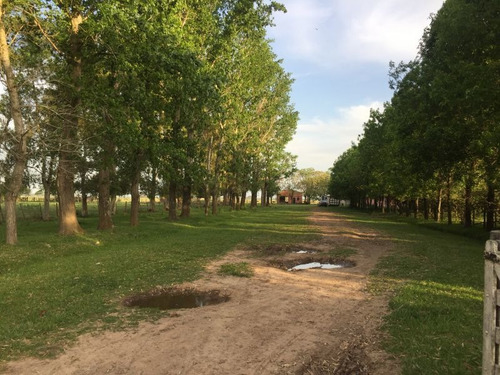 Imagen 17 de 23 de Campo En Venta En Lobos