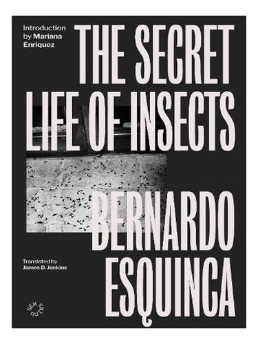 The Secret Life Of Insects (paperback) - Bernardo Esqu. Ew01