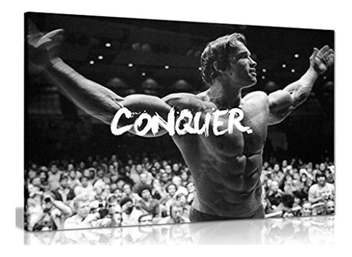 Motivacion Inspiradora Arnold Schwarzenegger Conquistar Imp