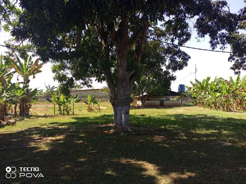 Imagen 9 de 9 de Venta De Funcional Y Productiva Finca De 5hect En Tocuyito - Inmobiliaria Maggi 1033