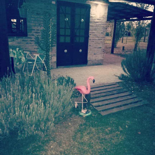 Alquiler De Cabaña En San Pedro