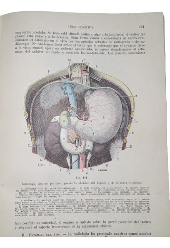 Libro Anatomía Humana - Testut (Usado)