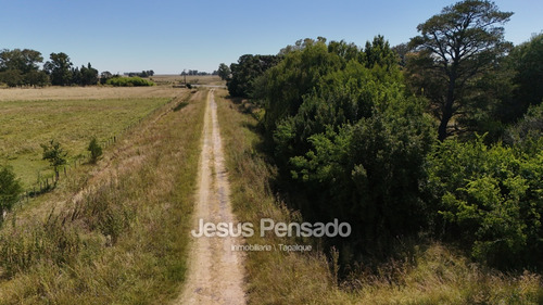 En Venta Terrenos En Zona Termas A 70 Mts Ruta 51