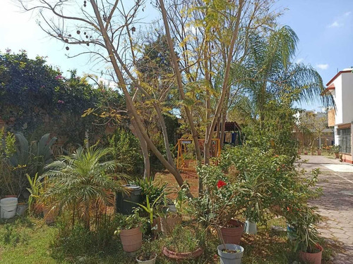 Departamento En Renta En San Andrés Cholula