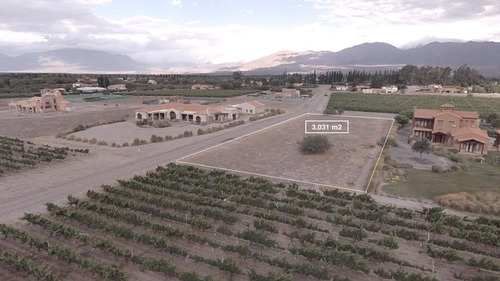 Terreno - Cafayate