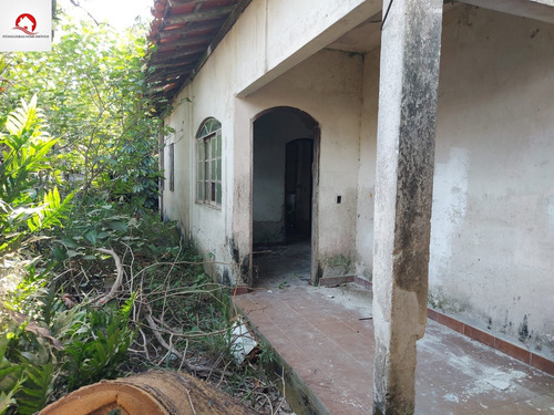Imagem 2 de 7 de Terreno Com Documentação Regularizada À Venda - Em Ótima Localidade No Bairro Santa Rosa - Te00019 - 69839962