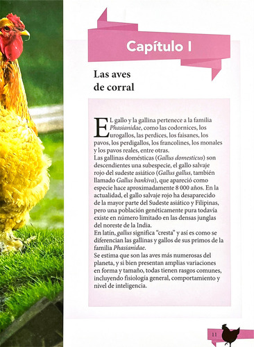 Guía Para Conocer Cómo Criar Gallinas
