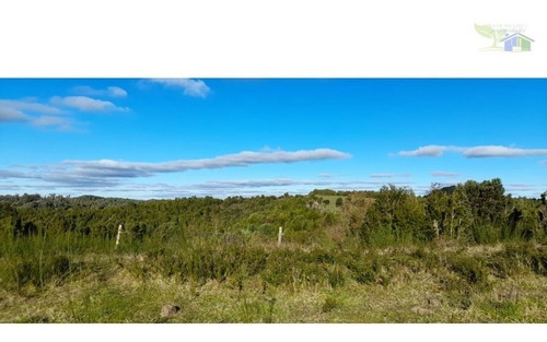 Se Vende Campo De 16 Hectareas Con Casa Y Galpon En Coquiao